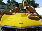 Bikini Babes and Corvette