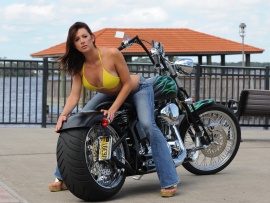 Custom Chopper (click to view)