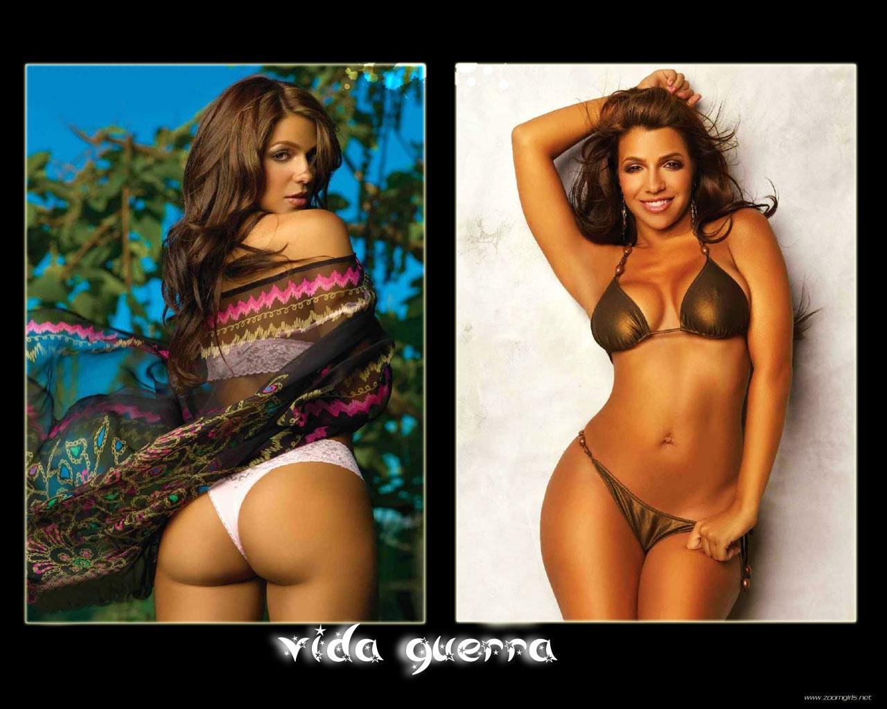 Vida Guerra